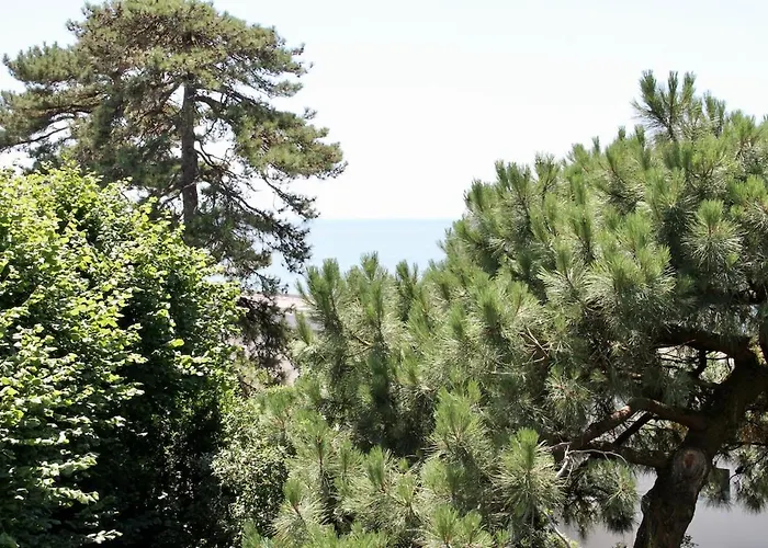 Avec Terrasse Vue A Apartment *